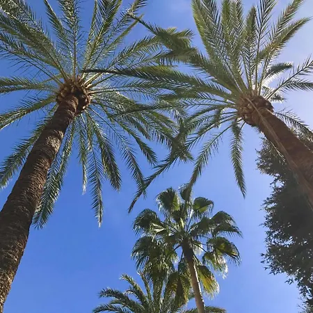 Vivaldi Boutique Jardines Del Mar Marbellac