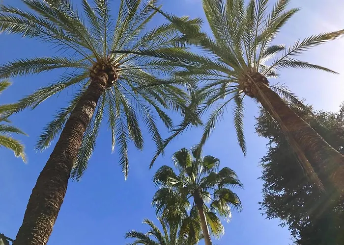 Vivaldi Boutique Jardines Del Mar Марбелья